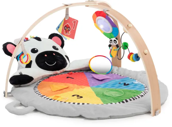 Play mat, Zens Activity Milestones
